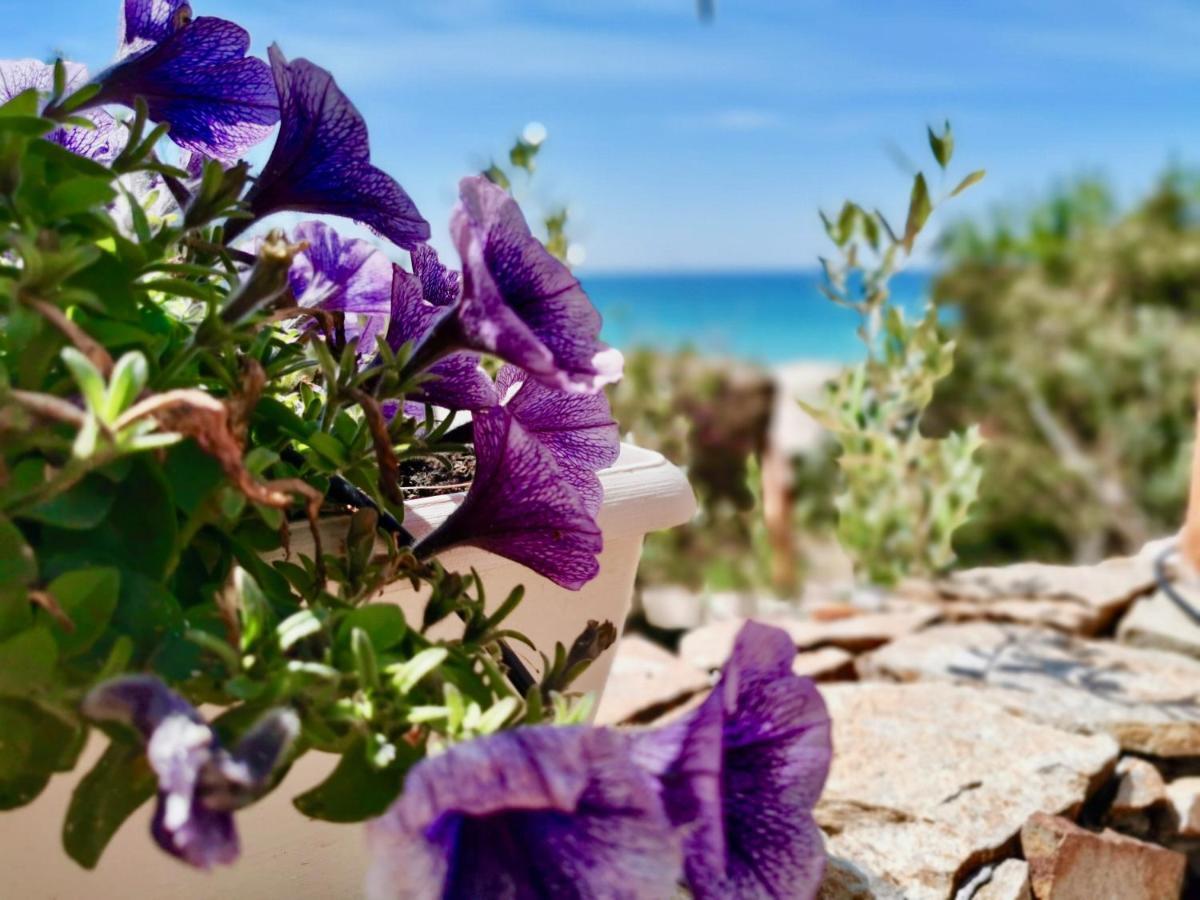Appartamento Beachfront House Geremeas Sardegna Esterno foto